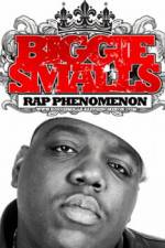 Watch Biggie Smalls Rap Phenomenon Megashare9