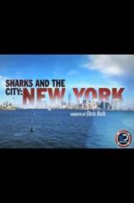 Watch Sharks and the City: New York Megashare9