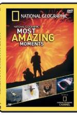 Watch National Geographic's Most Amazing Moments Megashare9