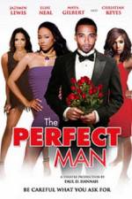 Watch The Perfect Man Megashare9