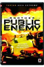 Watch Another Public Enemy Megashare9