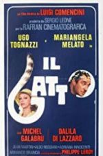 Watch Il gatto Megashare9