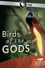 Watch Birds Of The Gods Megashare9