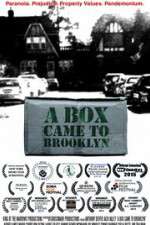 Watch A Box Came to Brooklyn Megashare9