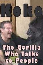Watch Koko: The Gorilla Who Talks to People Megashare9