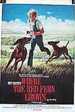 Watch Where the Red Fern Grows Megashare9