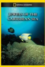 Watch National Geographic Jewels of the Caribbean Sea Megashare9