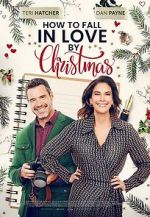 Watch How to Fall in Love by Christmas Megashare9
