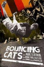 Watch Bouncing Cats Megashare9