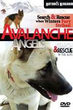 Watch Avalanche Angels Megashare9