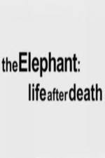 Watch The Elephant - Life After Death Megashare9