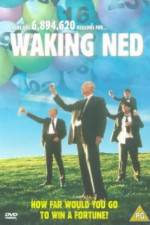 Watch Waking Ned Megashare9