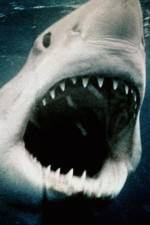 Watch Sharkmania: The Top 15 Biggest Baddest Bloodiest Bites Megashare9