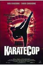 Watch Karate Cop Megashare9