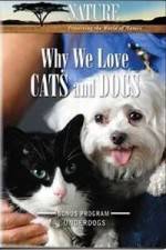 Watch Why We Love Cats And Dogs Megashare9