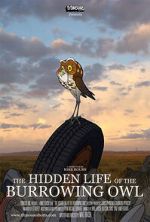 Watch The Hidden Life of the Burrowing Owl (Short 2008) Megashare9