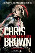 Watch Chris Brown Welcome to My Life Megashare9
