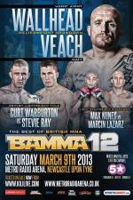 Watch BAMMA 12: Wallhead vs Veach Megashare9