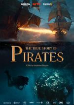Watch The True Story of Pirates Megashare9