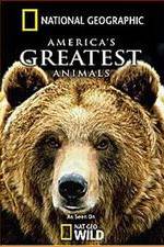 Watch America's Greatest Animals Megashare9