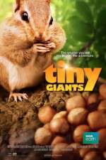 Watch Tiny Giants 3D Megashare9