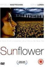 Watch Sunflower Megashare9