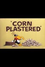 Watch Corn Plastered (Short 1951) Megashare9