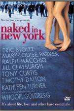 Watch Naked in New York Megashare9