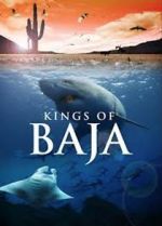 Watch Kings of Baja Megashare9