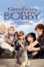 Watch Greyfriars Bobby The True Story of a Dog Megashare9