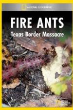 Watch National Geographic Fire Ants: Texas Border Massacre Megashare9