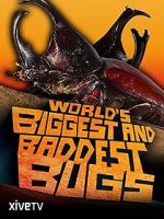 Watch World\'s Biggest and Baddest Bugs Megashare9