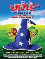 Watch The Little Wizard: Guardian of the Magic Crystals Megashare9