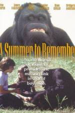 Watch A Summer to Remember Megashare9