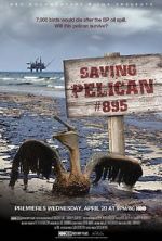 Watch Saving Pelican 895 (Short 2011) Megashare9