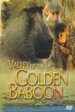 Watch National Geographic Golden Baboons Megashare9