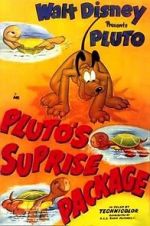 Watch Pluto\'s Surprise Package Megashare9