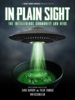Watch In Plain Sight: The Intelligence Community and UFOs Megashare9