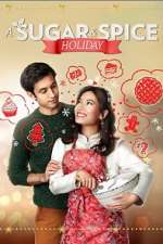 Watch A Sugar & Spice Holiday Megashare9