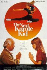 Watch The Next Karate Kid Megashare9