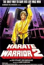 Watch Karate Warrior 2 Megashare9