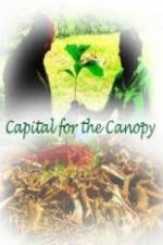 Watch Capital for the Canopy Megashare9