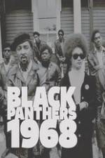 Watch Black Panthers Megashare9