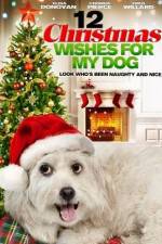 Watch 12 Christmas Wishes For My Dog Megashare9
