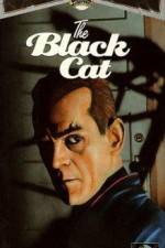 Watch The Black Cat Megashare9