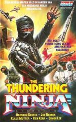 Watch Thundering Ninja Megashare9