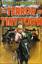 Watch The Terror of Tiny Town Megashare9