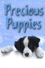 Watch Precious Puppies Megashare9