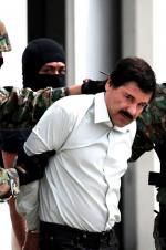 Watch The Rise and Fall of El Chapo Megashare9