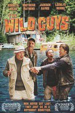 Watch The Wild Guys Megashare9